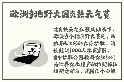 **下面的**好长好长